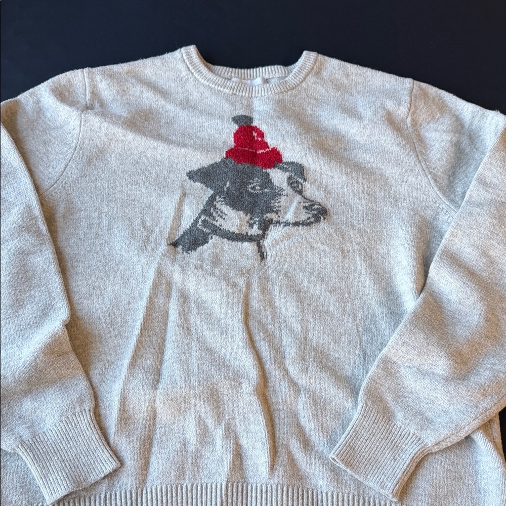 Goodfellow & Co Light Gray Sweater with Bird Design